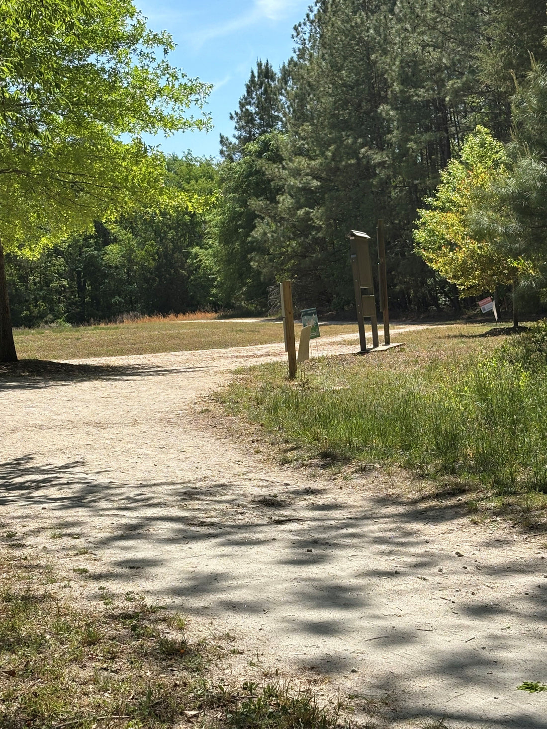 "Plein air:" Painting outside