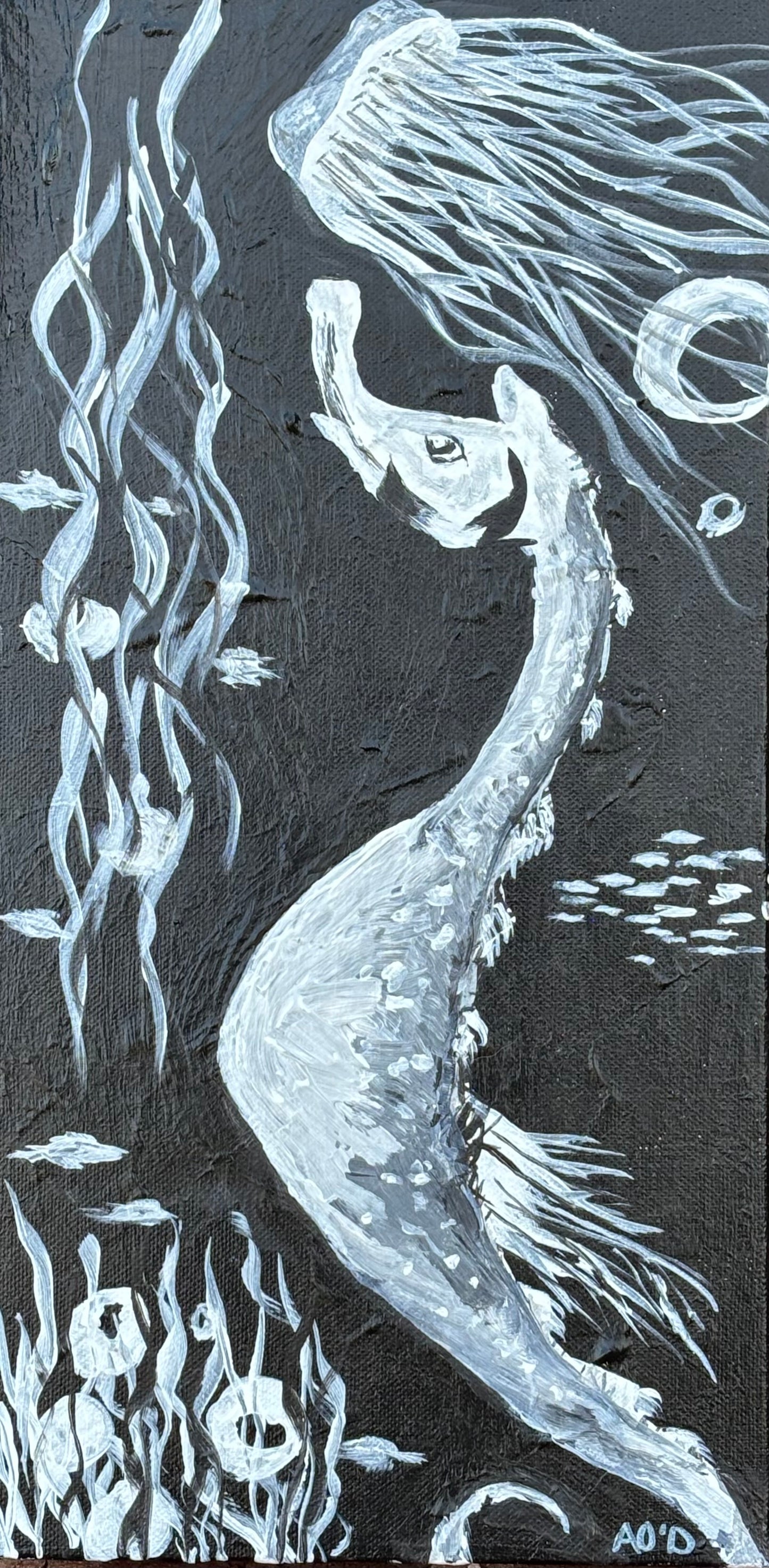 Wishing Upon a Jellyfish