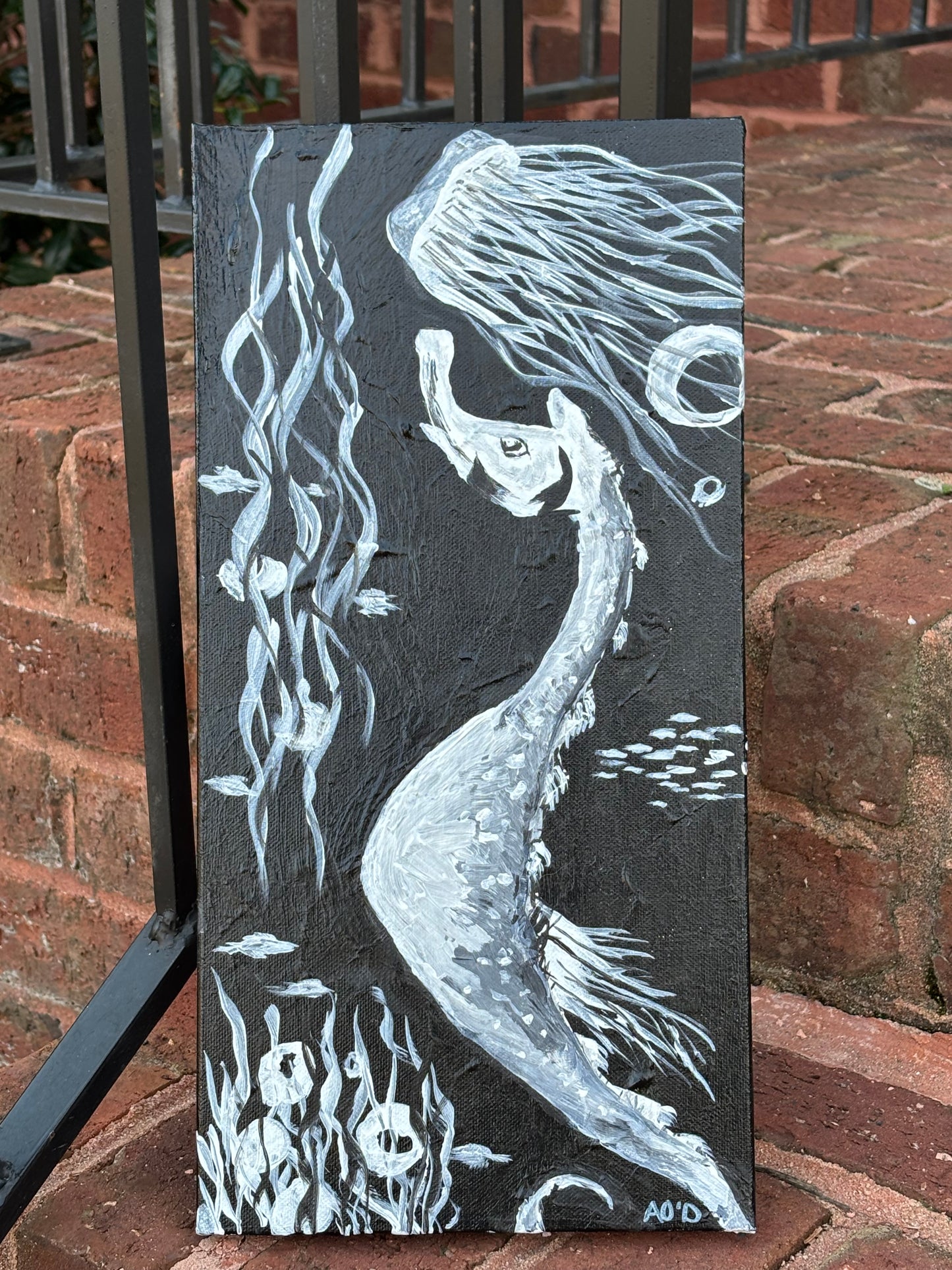 Wishing Upon a Jellyfish